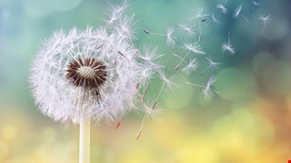 
頭痛，是長腦瘤嗎？ 2017-12